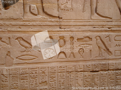 Image of Hieroglyphs