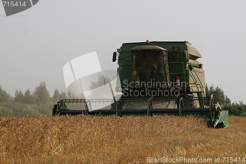 Image of Harvesting