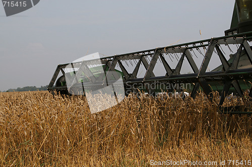 Image of Harvesting