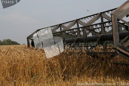 Image of Harvesting