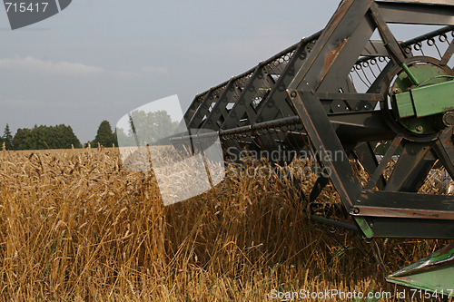 Image of Harvesting