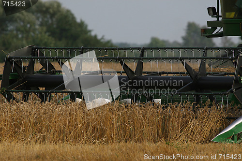 Image of Harvesting