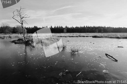 Image of Winter Lake