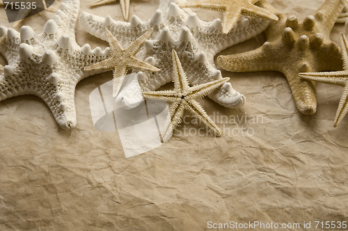 Image of Starfish on Old Paper