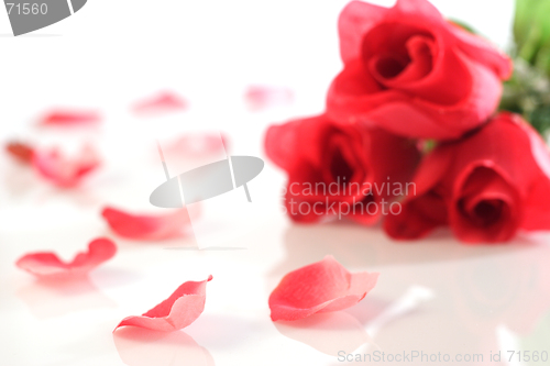 Image of red roses