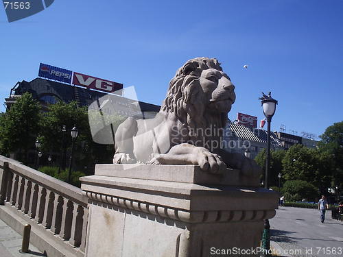 Image of The Lion