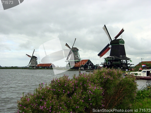 Image of Dutch Windmills