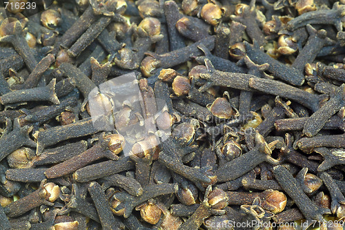 Image of Clove