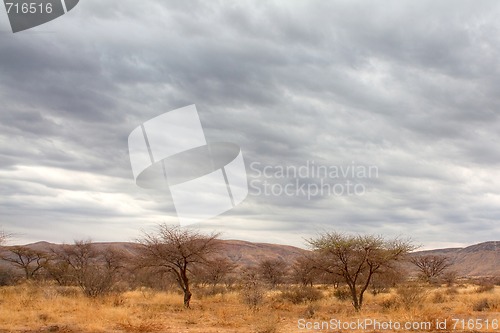 Image of Landscape in Namibia