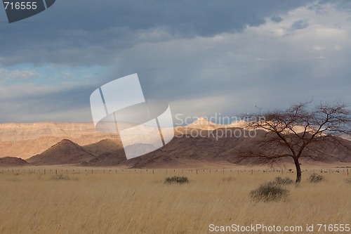 Image of Landscape in Namibia