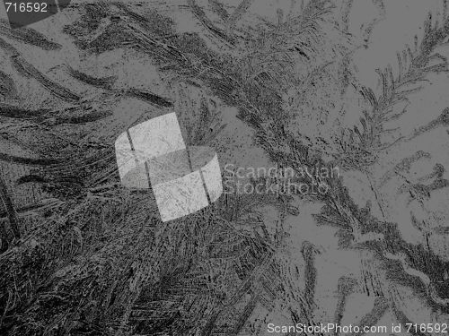 Image of grey