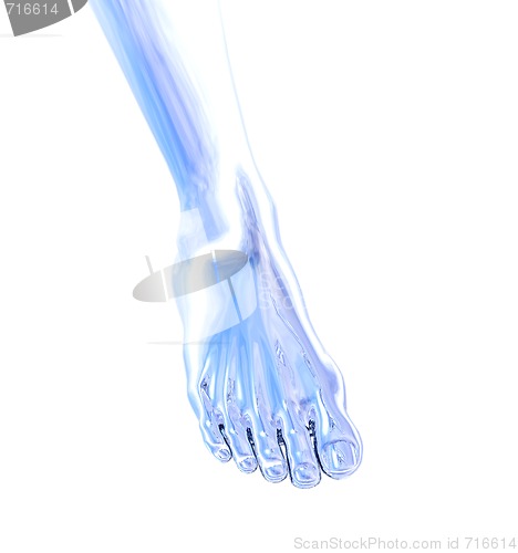 Image of metal foot