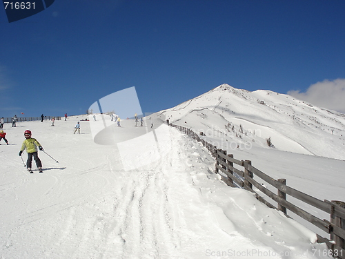 Image of Alpine Skiing