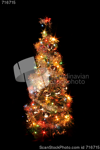 Image of xmas tree