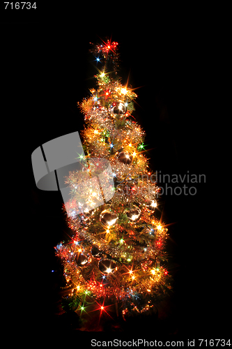 Image of xmas tree
