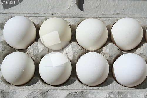 Image of Chicken Eggs in a Carton