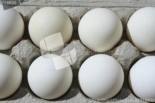 Image of Chicken Eggs in a Carton