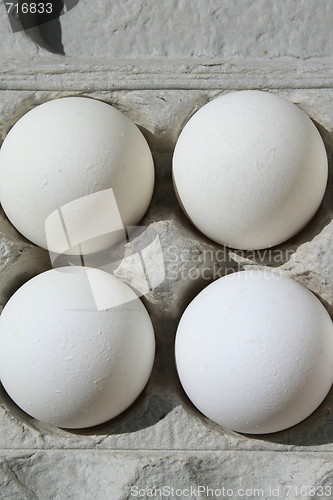 Image of Chicken Eggs in a Carton