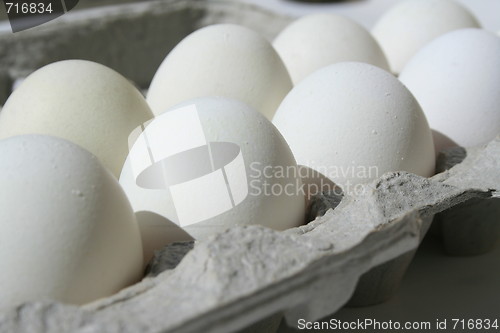 Image of Chicken Eggs in a Carton