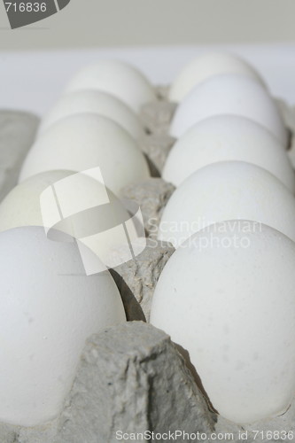 Image of Chicken Eggs in a Carton