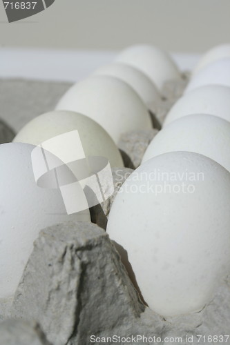 Image of Chicken Eggs in a Carton