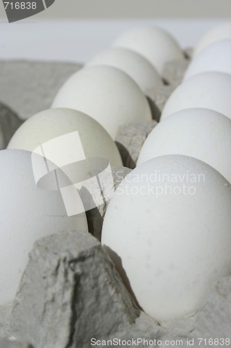 Image of Chicken Eggs in a Carton