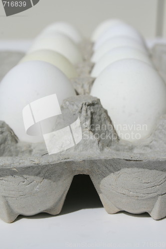 Image of Chicken Eggs in a Carton