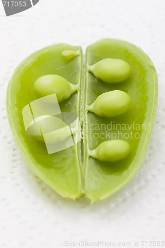 Image of Opened bean pod