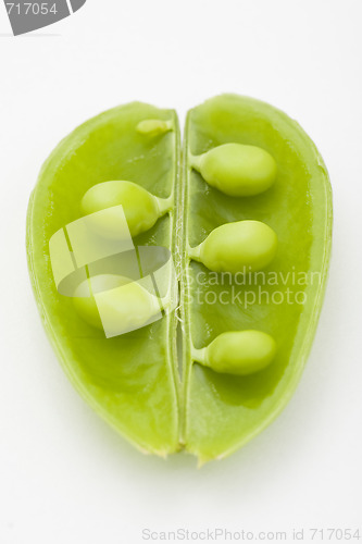Image of Opened bean pod