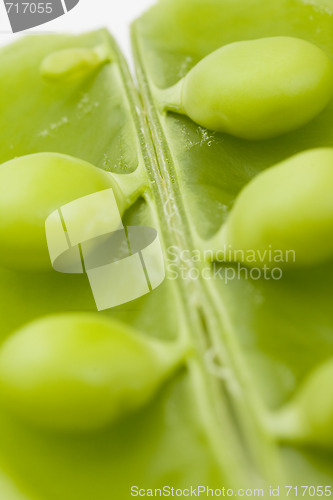 Image of Opened bean pod