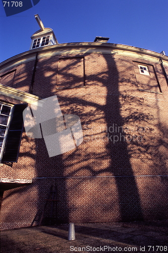 Image of Tree Shadows