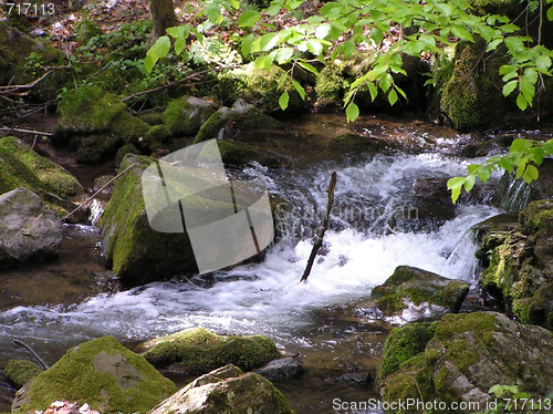 Image of stream