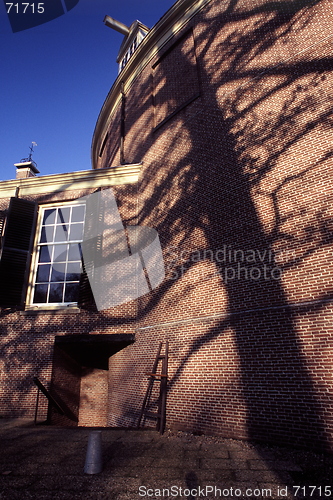 Image of Tree Shadow