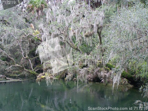 Image of Marshes