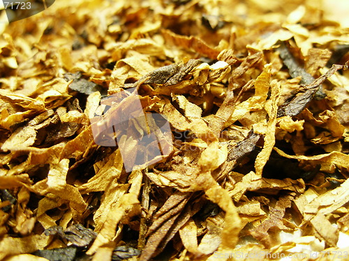 Image of tobacco