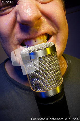 Image of Vocalist & Microphone