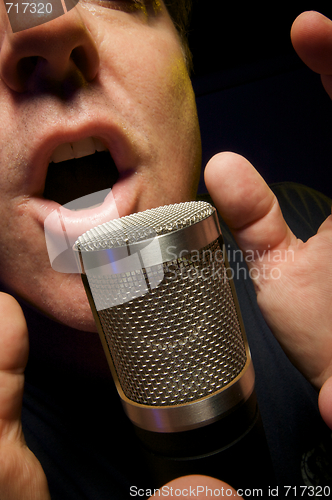 Image of Vocalist & Microphone