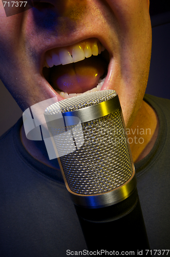 Image of Vocalist & Microphone