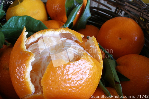 Image of orange