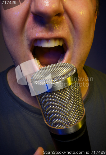 Image of Vocalist & Microphone