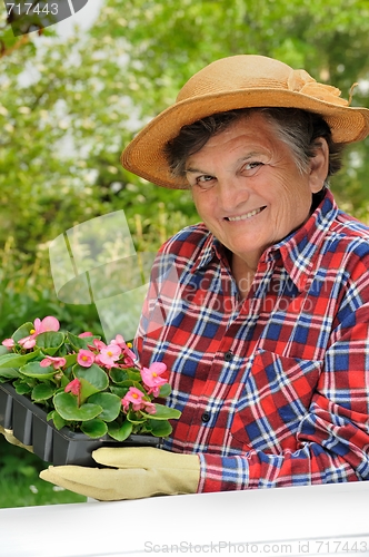 Image of Senior woman - gardening