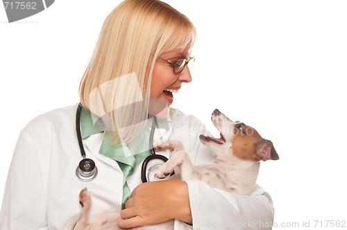 Image of Attractive Female Doctor Veterinarian with Small Puppy