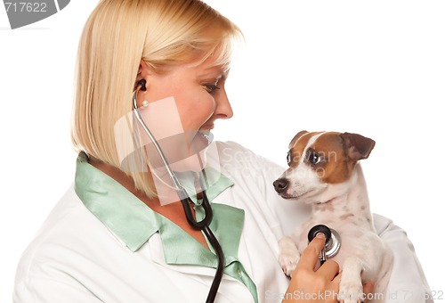 Image of Attractive Female Doctor Veterinarian with Small Puppy