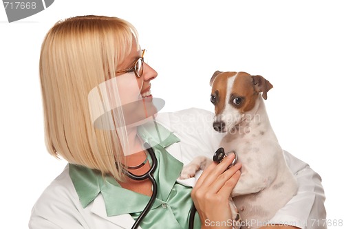 Image of Attractive Female Doctor Veterinarian with Small Puppy