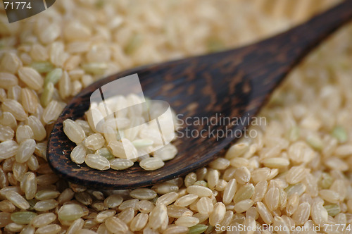 Image of Brown Rice