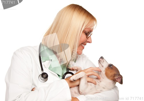 Image of Attractive Female Doctor Veterinarian with Small Puppy