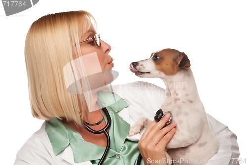 Image of Attractive Female Doctor Veterinarian with Small Puppy