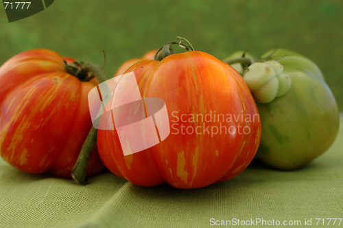 Image of Heirloom Tomatos