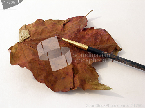 Image of autumn