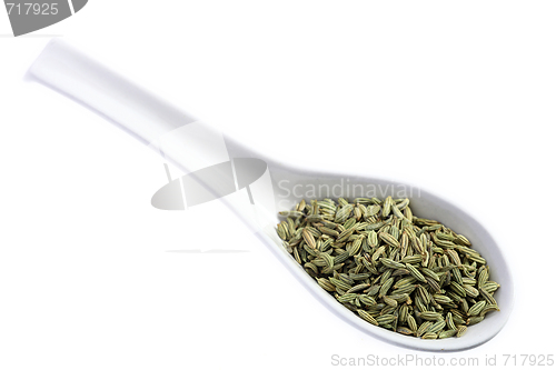 Image of Fennel seeds on a spoon